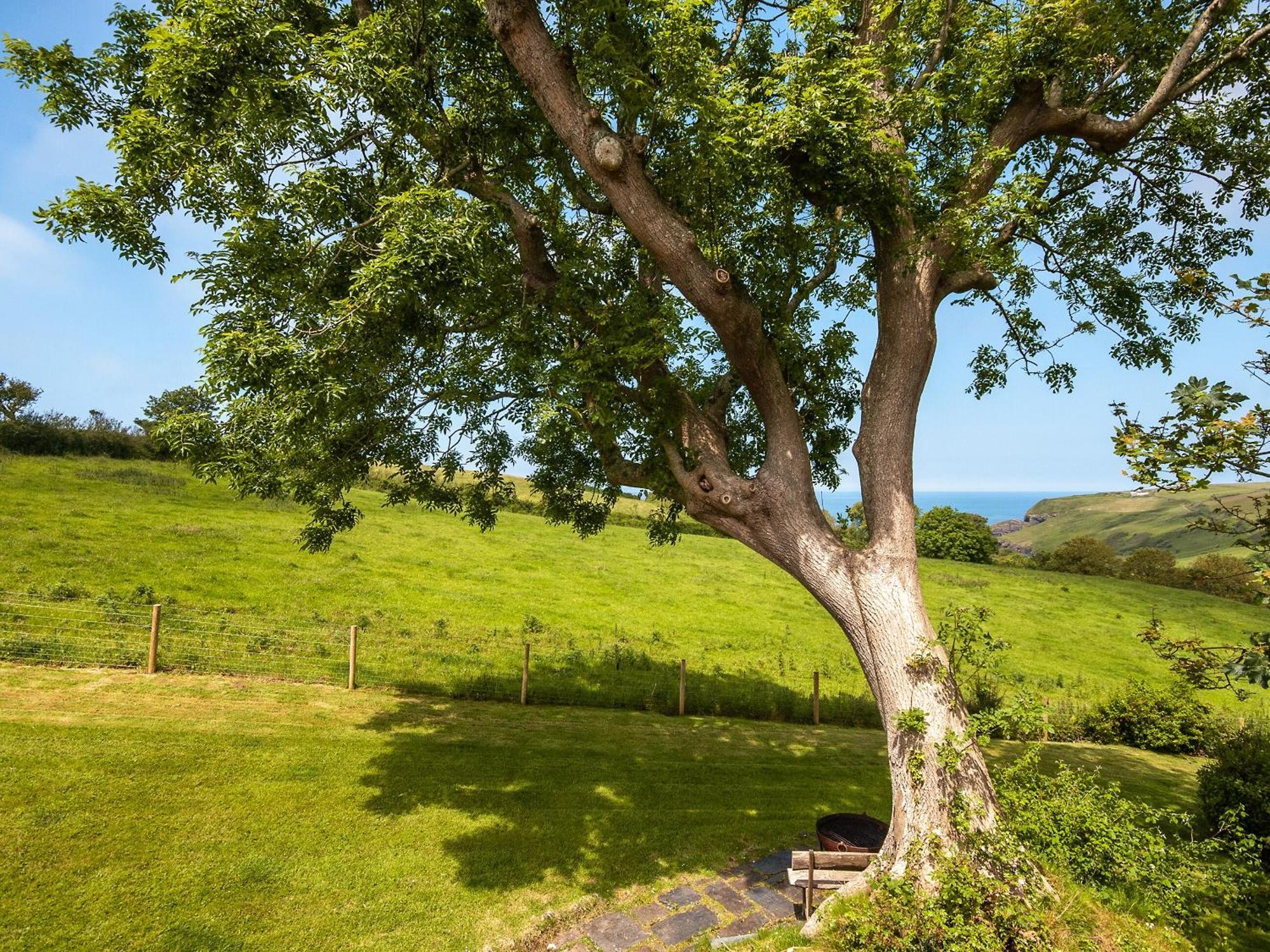 Crug Y Felin Villa Moylgrove Exterior photo